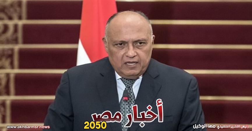 وزير الخارجية سامح شكري