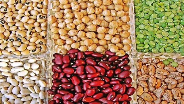 اسعار البقوليات