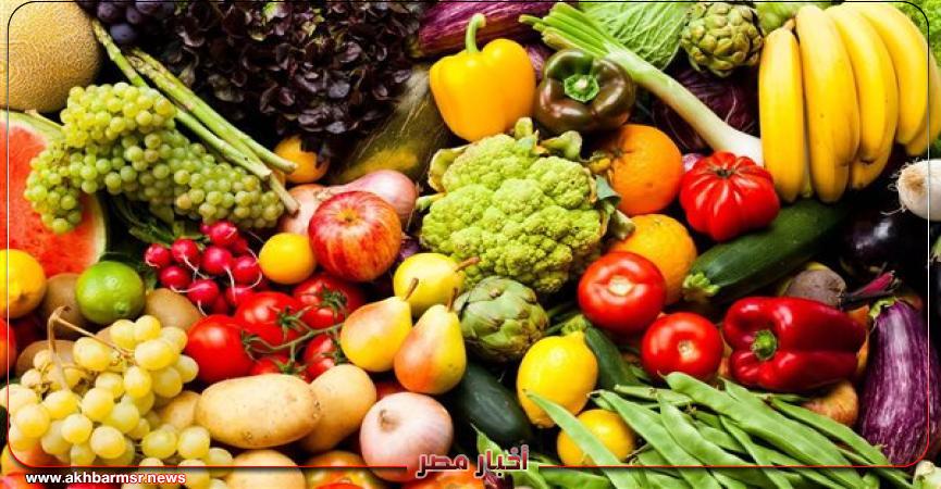 أخبار مصر 2050