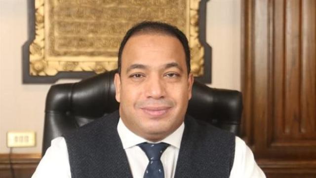 الخبير الاقتصادى عبد المنعم السيد