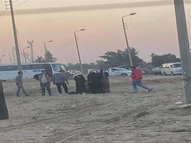 أخبار مصر 2050