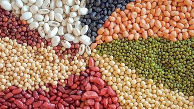 اسعار البقوليات اليوم