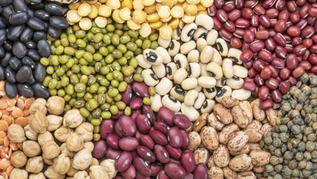 اسعار البقوليات اليوم