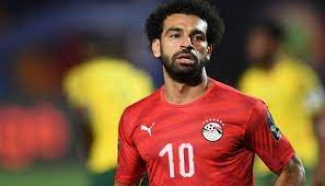 أخبار مصر 2050