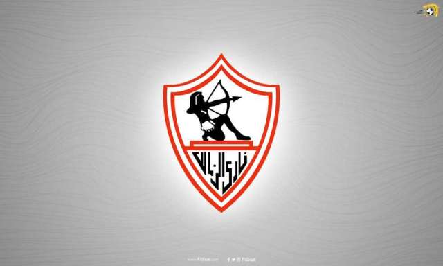 أخبار مصر 2050