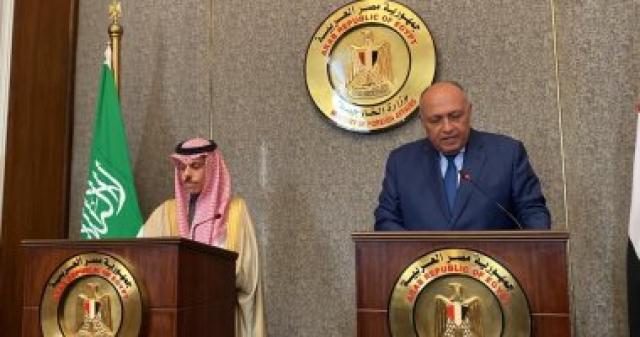 وزير الخارجية ونظيره السعودى
