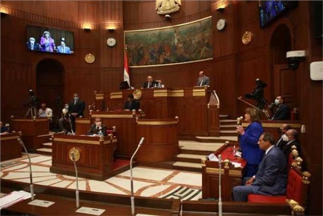 مجلس الشيوخ
