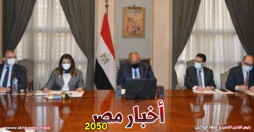 وزير الخارجية سامح شكرى