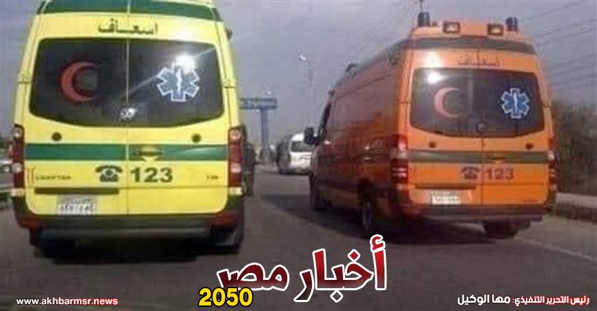أخبار مصر 2050
