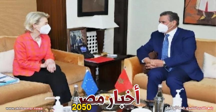 أخبار مصر 2050