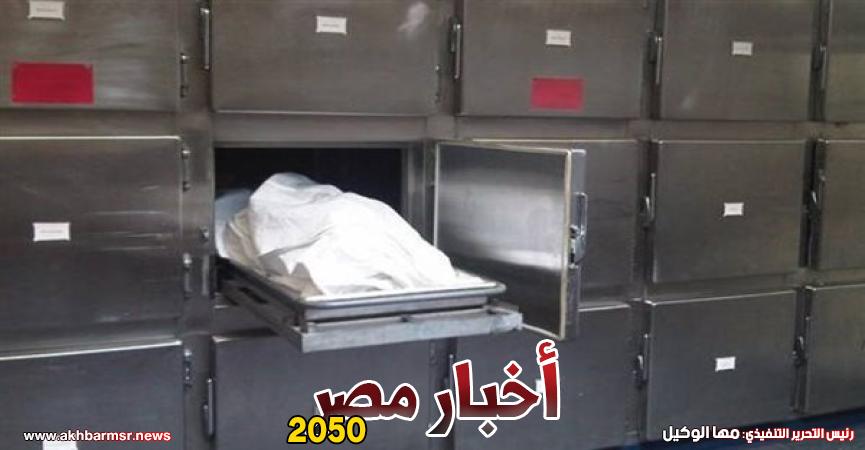 أخبار مصر 2050