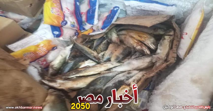 لحوم وأسماك غير صالحة للاستهلاك الآدمي - أرشيفية