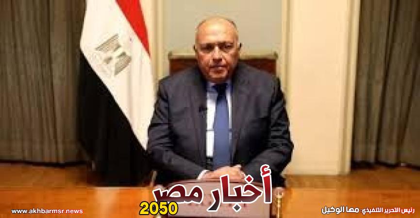 سامح شكرى وزير الخارجية