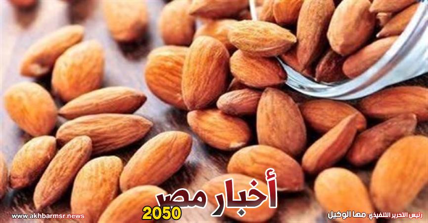 أخبار مصر 2050