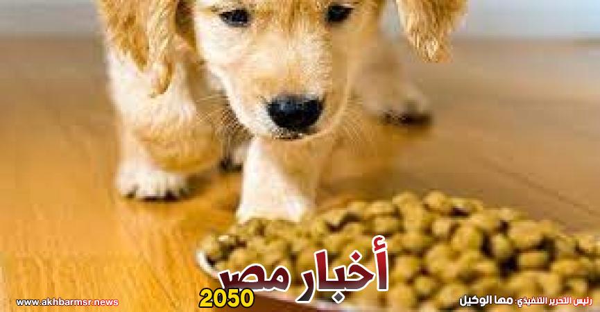 أطعمة حيوانات