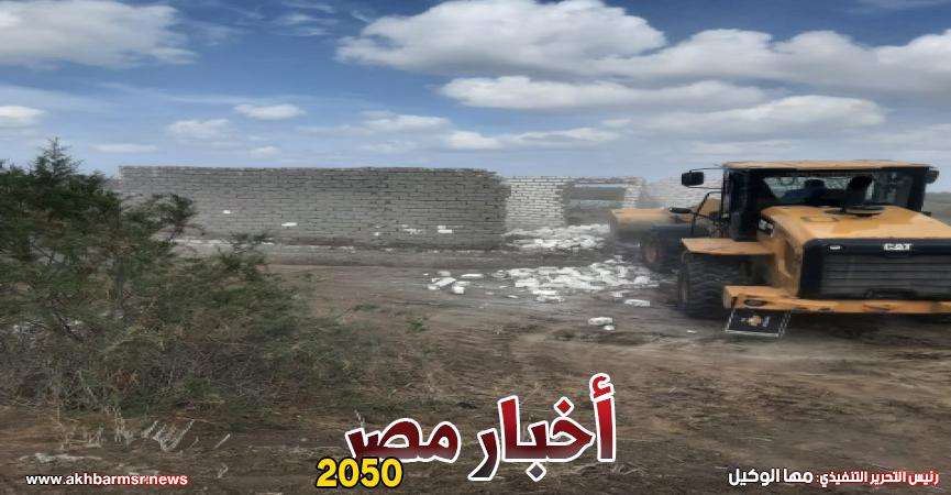 أخبار مصر 2050