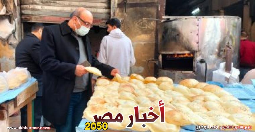 أخبار مصر 2050