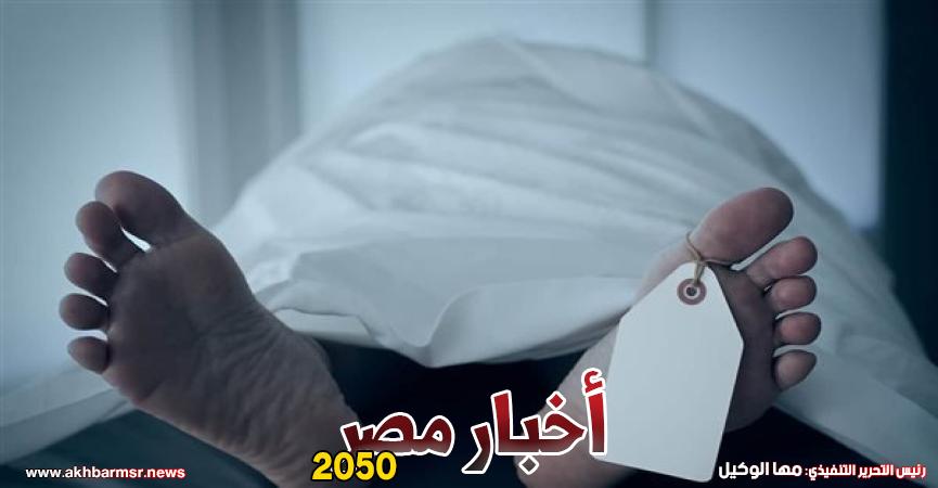 ارشيفية