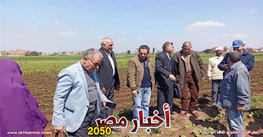 حقل ارشادى