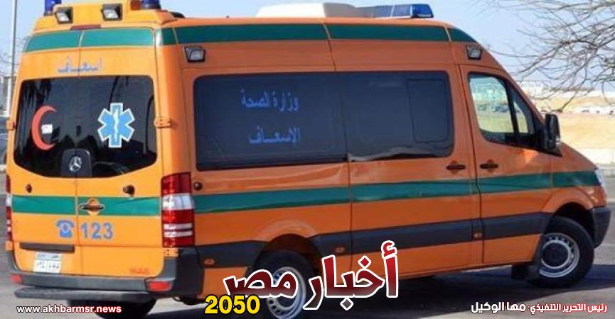 أخبار مصر 2050