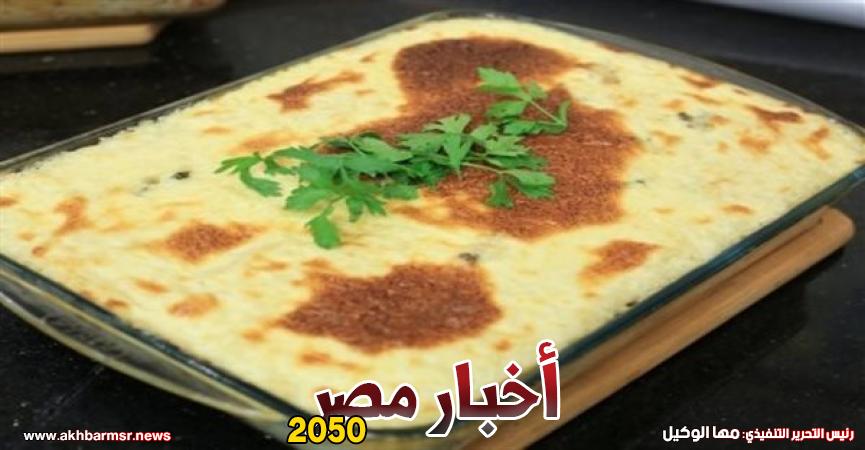 أخبار مصر 2050