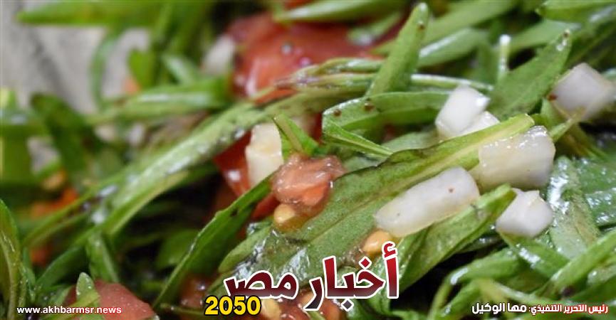 أخبار مصر 2050
