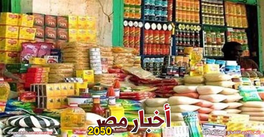 أخبار مصر 2050