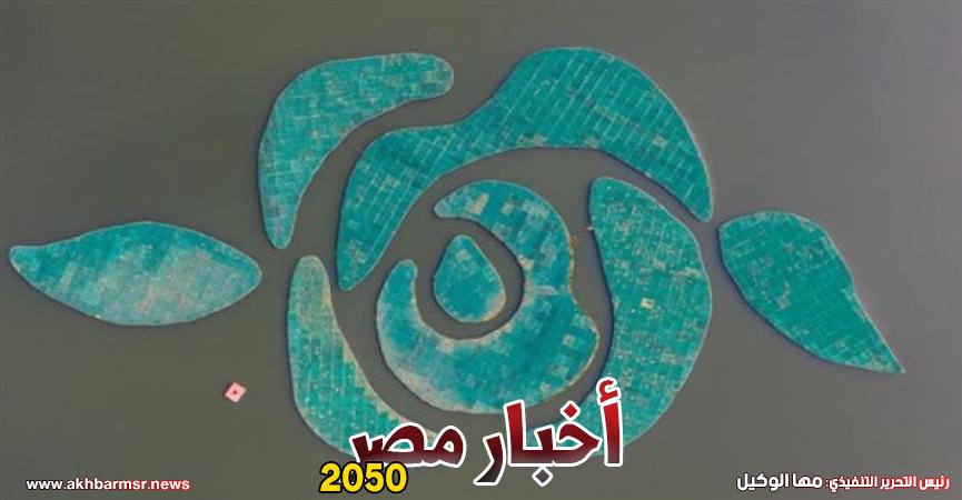 أخبار مصر 2050