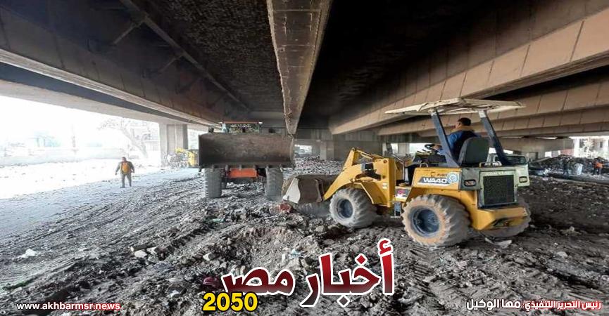 أخبار مصر 2050