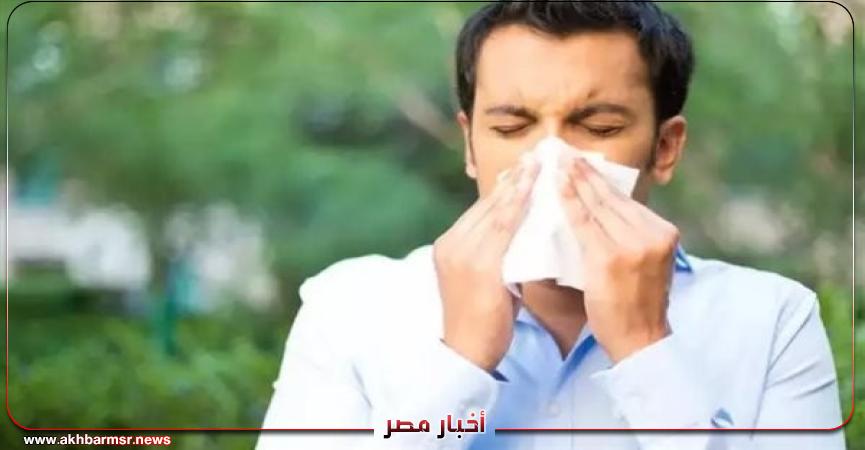 أخبار مصر 2050
