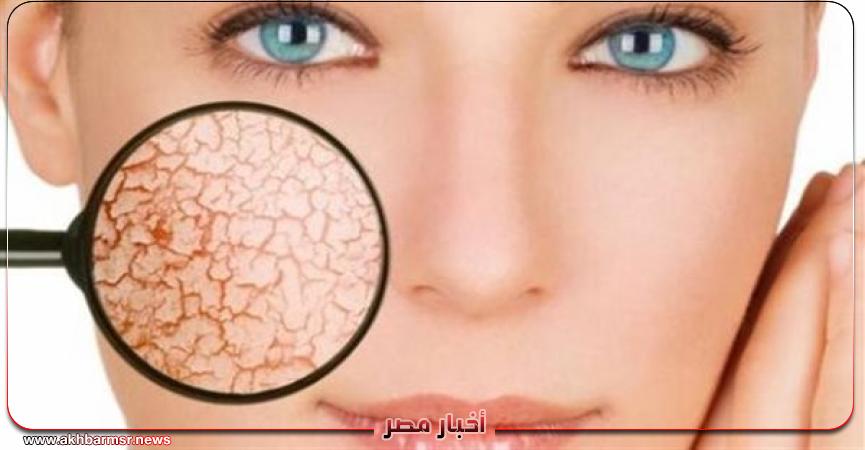 أخبار مصر 2050