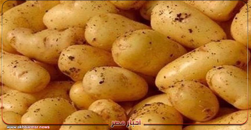 البطاطس