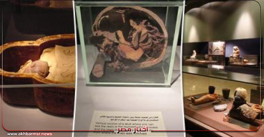 متحف التحنيط بالأقصر