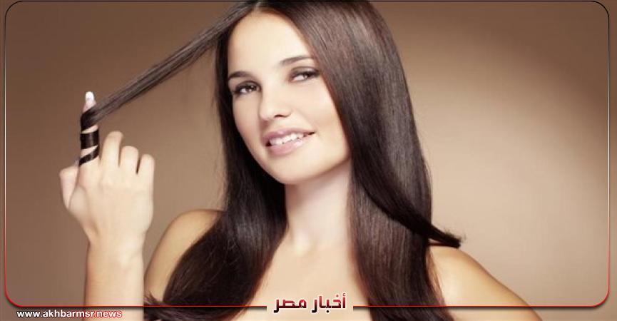 أخبار مصر 2050