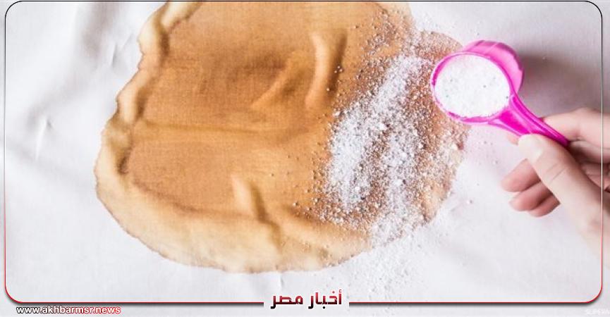 أخبار مصر 2050