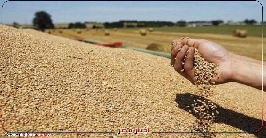 الإنتاج الزراعي