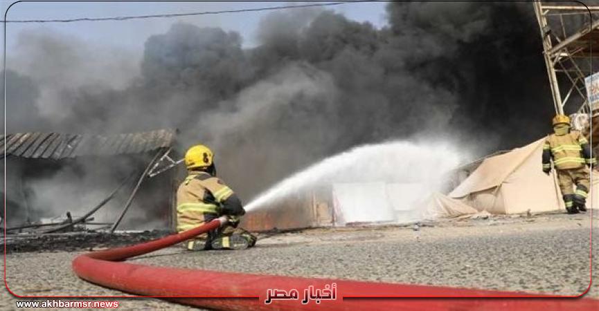 أخبار مصر 2050