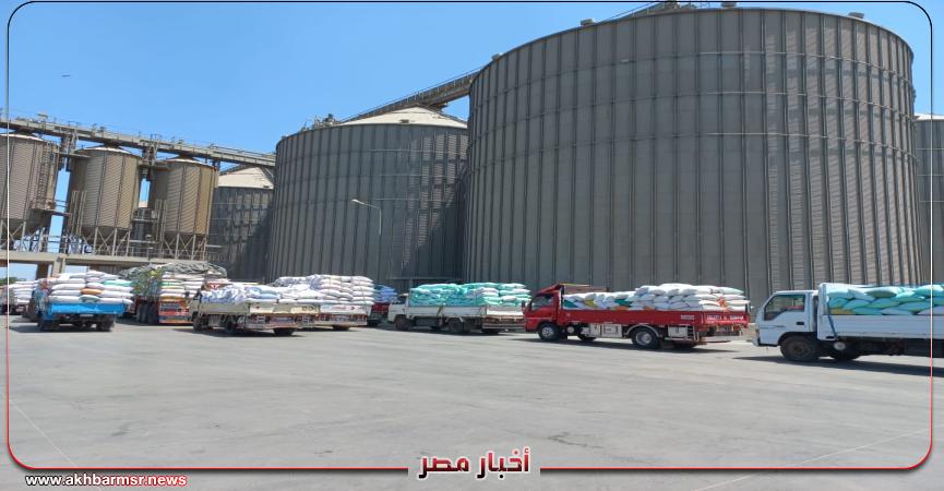 توريد القمح