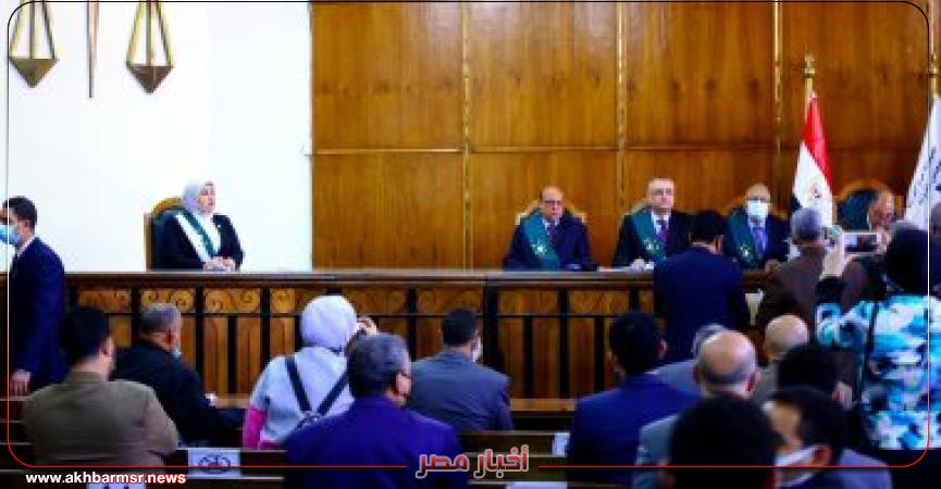 مجلس الدولة 