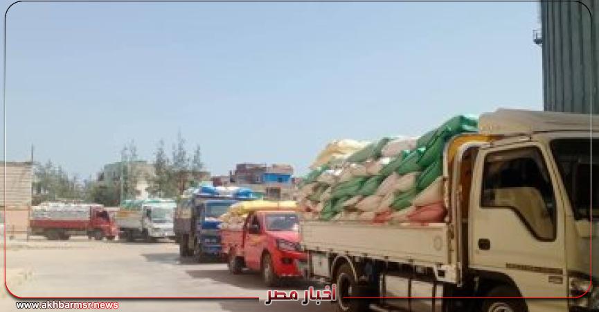 توريد قمح