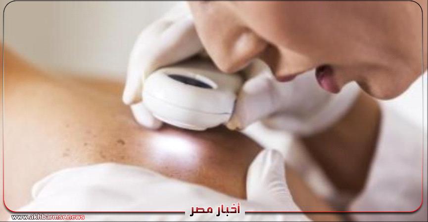أخبار مصر 2050