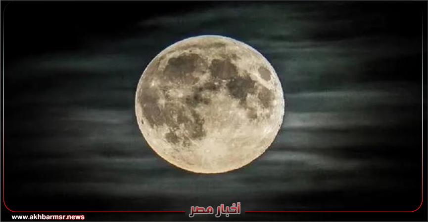 بدر عملاق