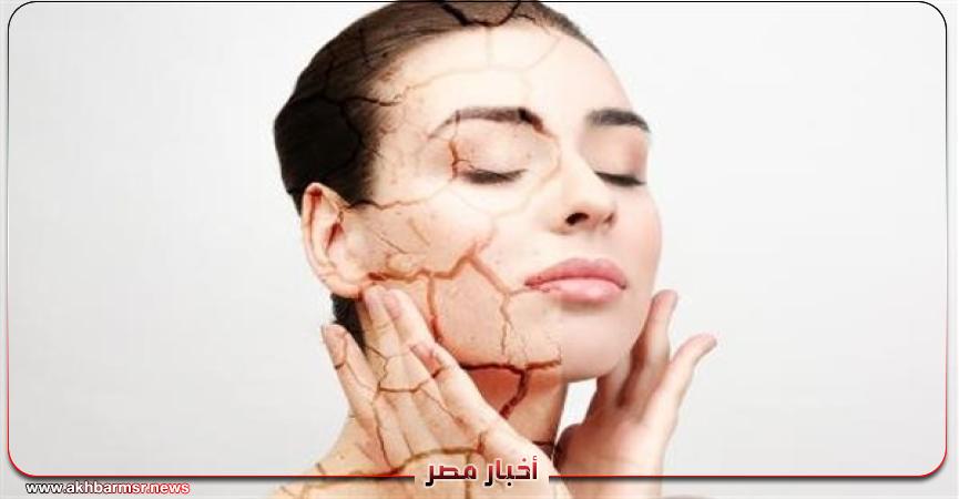 أخبار مصر 2050