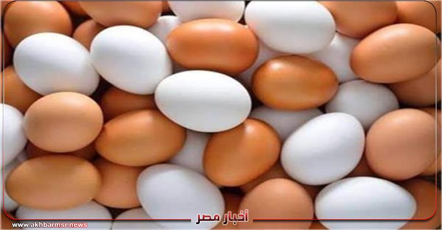 بيض