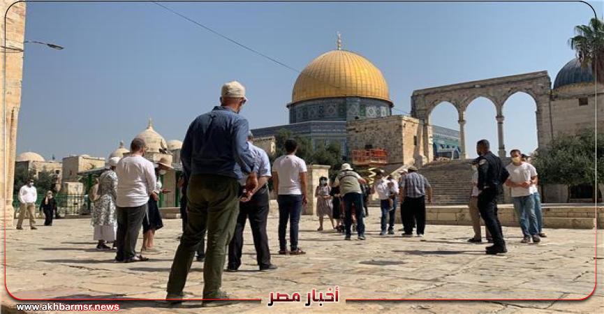 صوره أرشيفية