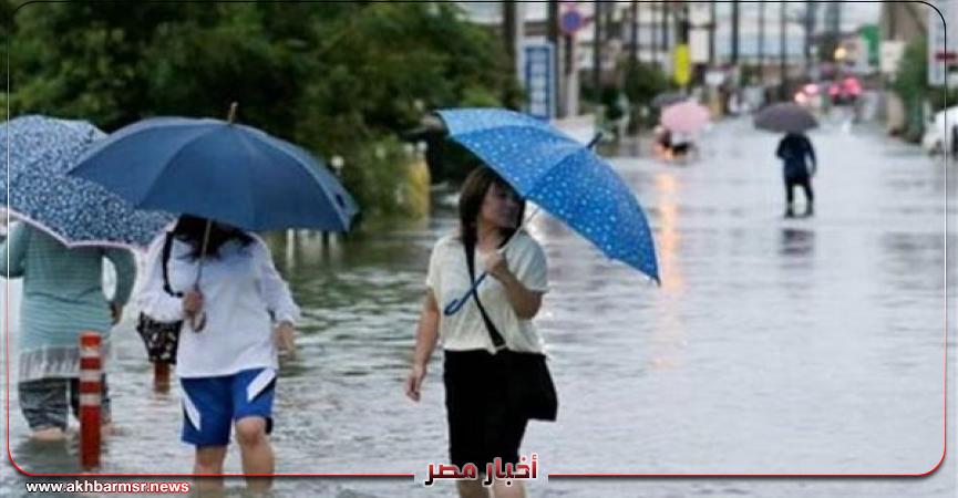 أخبار مصر 2050