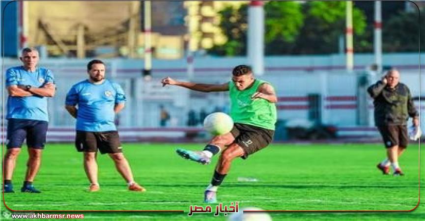 أخبار مصر 2050