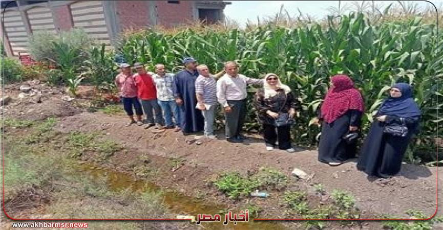 أخبار مصر 2050
