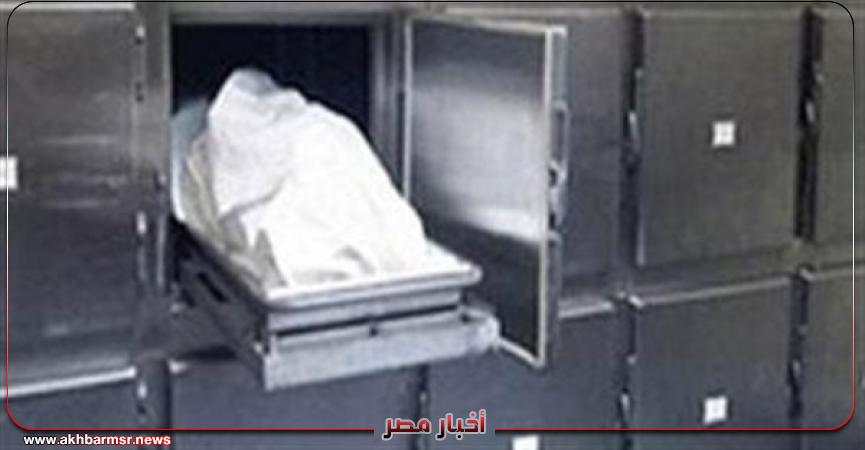 أخبار مصر 2050