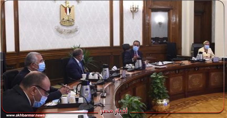 أخبار مصر 2050